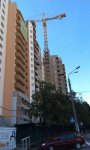 imag2941.jpg
