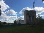 2213middle.jpg