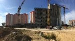 2153middle.jpg