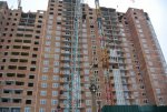 DSC_8096.jpg