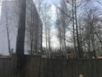 IMG_3106.jpg