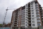 DSC02249.jpg