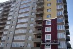 DSC02343.jpg