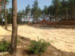 IMG_0374.jpg