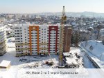 mone-2-february-3.jpg