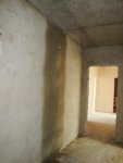 DSC03597.jpg