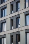 20180730_Rybalsky_07.jpg