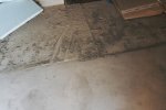 DSC04096.jpg