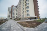 DSC_3646.jpg