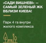 bigest-15397786813-.jpg