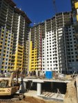IMG_20181016_113627-1.jpg