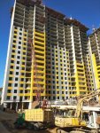 IMG_20181016_113629-1.jpg