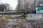 DSC09879.jpg