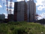 2019-07-25-17.10.21.jpg