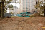HX6A7919.jpg