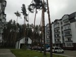 изображение_viber_2020-01-22_09-51-27+++.jpg