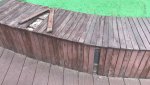 20BF8602-62AC-4E88-A598-6207BB035381.jpeg