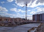 IMG_20200324_101205.jpg