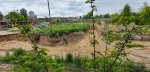 20200523_125808.jpg
