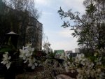 IMG_20160418_173849.jpg